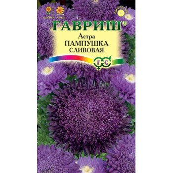 Астра Пампушка сливовая /0,3 г/ *Гавриш*