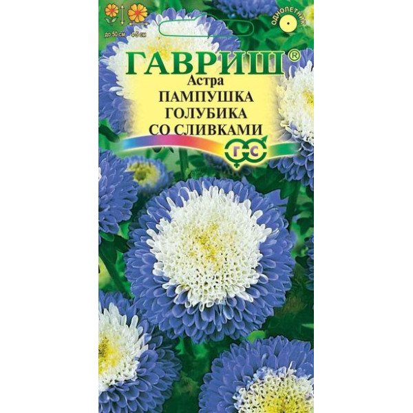 Астра Пампушка черника со сливками /0,3 г/ *Гавриш*