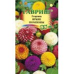 Георгина Яркие помпоны /0,2 г/ *Гавриш*
