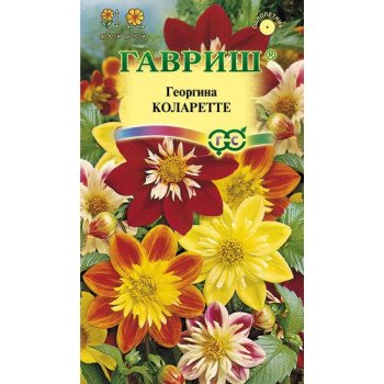Георгина Коларетте /0,2 г/ *Гавриш*