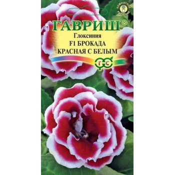 Глоксиния Брокад F1 красная с белым /5 семян/ *Гавриш*