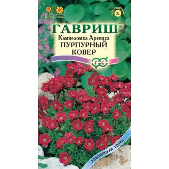 Камнеломка Арендса Пурпурный ковер /0,01 г/ *Гавриш*