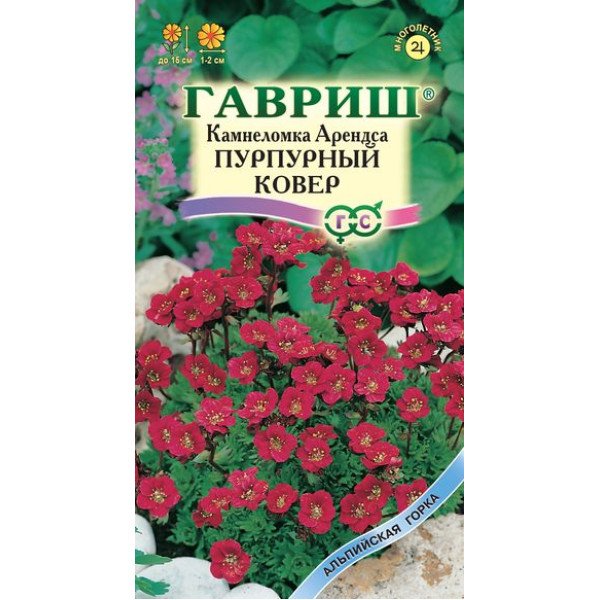 Ломикамінь Арендса Пурпурний килим /0,01 г/ *Гавриш*