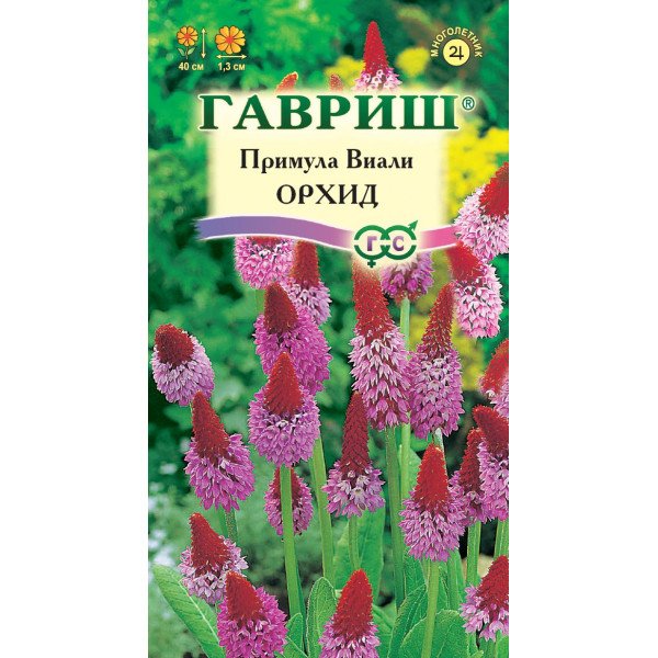 Примула Віалі Орхід /10насіння/ *Гавриш*