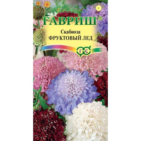 Скабіоза пурпурова Фруктовий лід суміш /0,3 г/ *Гавриш*