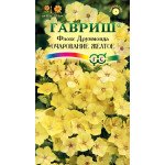 Флокс Чарівність жовта /0,05 г/ *Гавриш*
