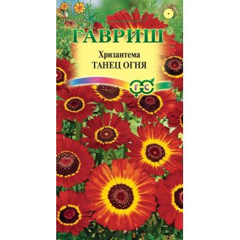 Хризантема Танец огня /0,5 г/ *Гавриш*