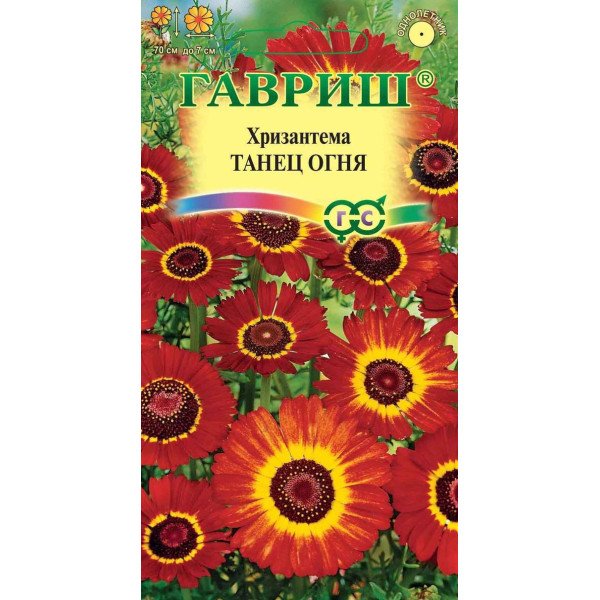 Хризантема Танец огня /0,5 г/ *Гавриш*
