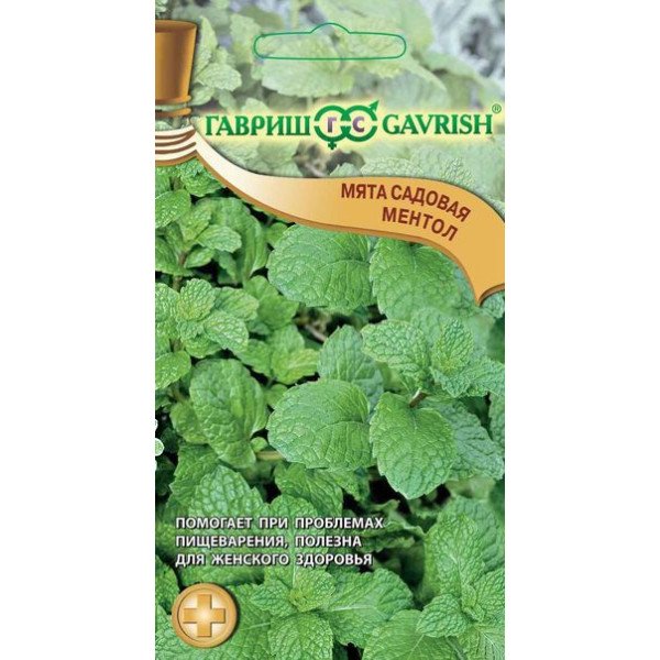 Насіння м'яти садової Ментол /0,05 г/ *Гавриш*