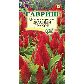 Целозия перистая Красный дракон /0,1 г/ *Гавриш*