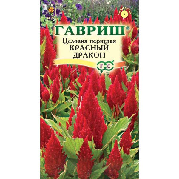 Целозія периста Червоний дракон /0,1 г/ *Гавриш*