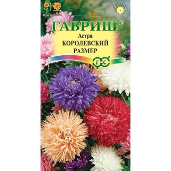 Астра Королевский размер смесь /0,3 г/ *Гавриш*