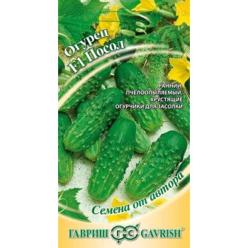 Огурец Посол F1 /10 семян/ *Гавриш*