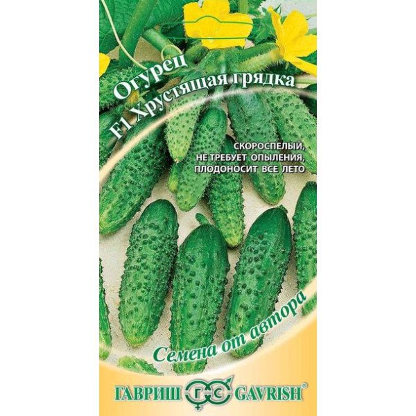 Насіння огірка Хрустка грядка F1 /10 насінин/ *Гавриш*