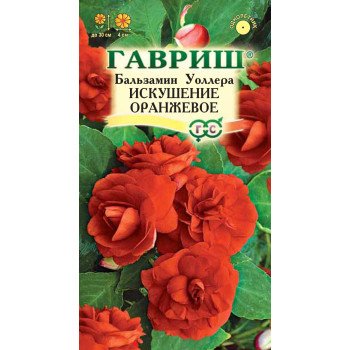 Бальзамин Искушение F1 оранжевое /5 семян/ *Гавриш*