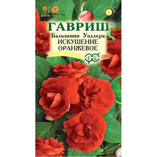 Бальзамин Искушение F1 оранжевое /5 семян/ *Гавриш*