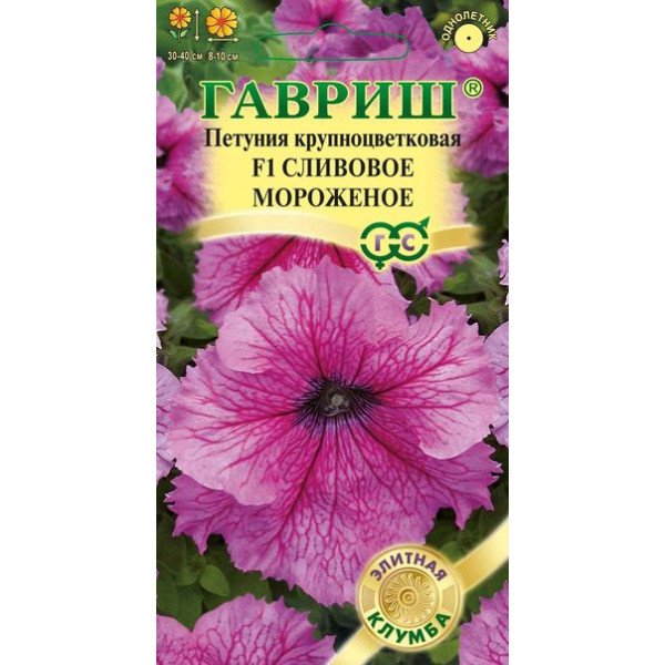 Петунія Морозиво F1 сливове /5 насінин/ *Гавриш*