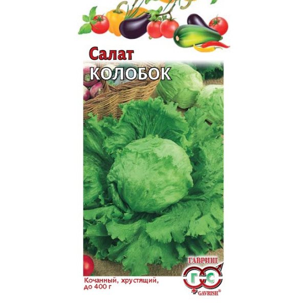 Насіння салату Колобок /0,5 г/ *Гавриш*