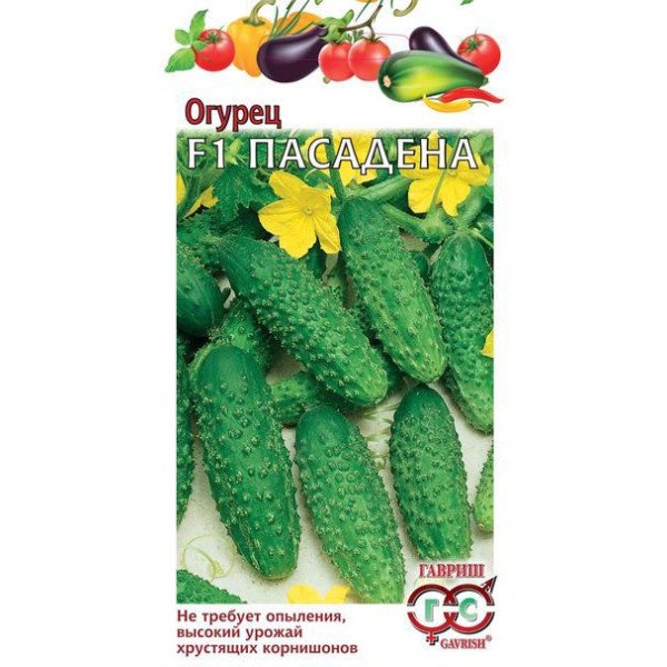 Семена огурца Пасадена F1 /0,3 г/ *Гавриш*