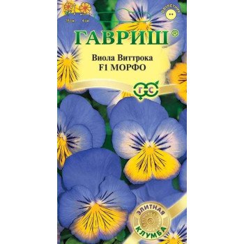 Виола Морфо F1 /5 семян/ *Гавриш*