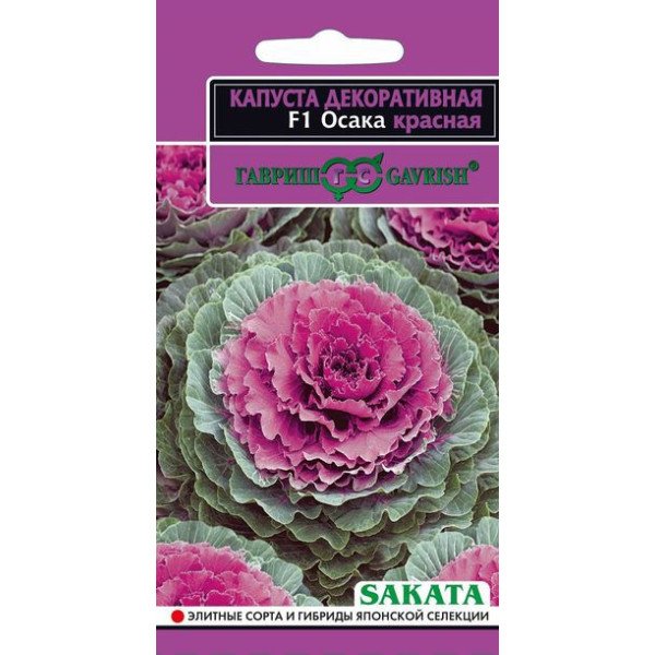 Капуста декоративна Осака F1 червона /7 насінин/ *Гавриш*