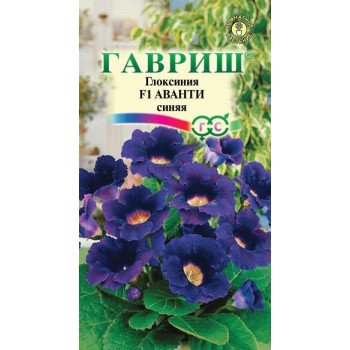 Глоксиния Аванти F1 синяя /5 семян/ *Гавриш*