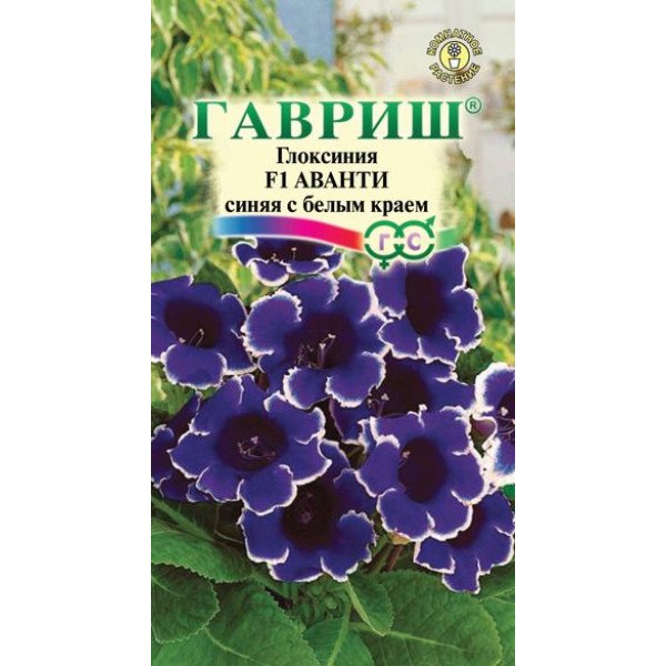 Глоксиния Аванти F1 синяя с белым краем /5 семян/ *Гавриш*