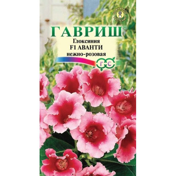 Глоксинія Аванті F1 ніжно-рожева /5 насінин/ *Гавриш*