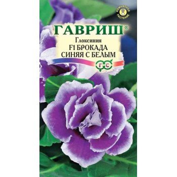 Глоксиния Брокад F1 синяя с белым /5 семян/ *Гавриш*