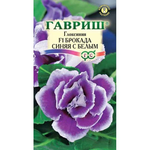 Глоксиния Брокад F1 синяя с белым /5 семян/ *Гавриш*