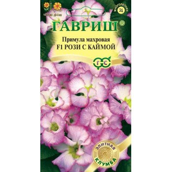 Примула Роззи с каймой махровая /3 семечка/ *Гавриш*