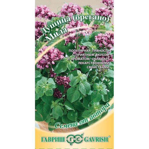 Насіння материнки Міла /0,1/ *Гавриш*