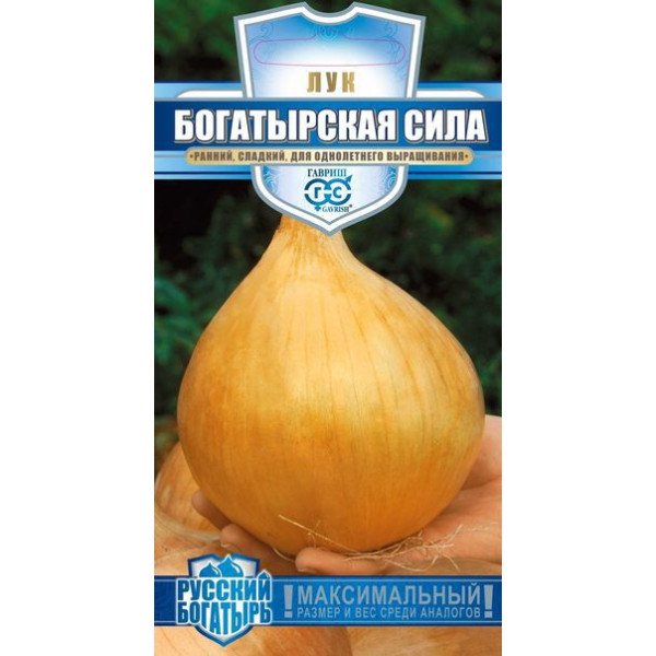 Насіння цибулі Богатирська сила /0,2 г/ *Гавриш*