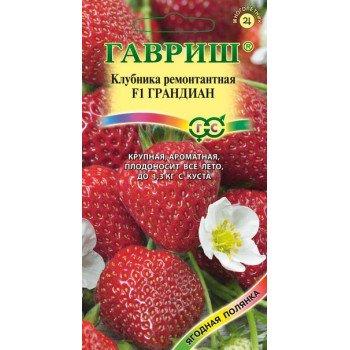 Клубника Грандиан F1 /5 семян/ *Гавриш*