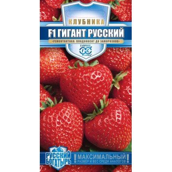 Клубника Гигант русский F1 /5 семян/ *Гавриш*