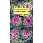 Капуста декоративна Бордове мереживо /0,1 г/ *Гавриш*