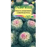 Капуста декоративна Північна троянда /0,1 г/ *Гавриш*