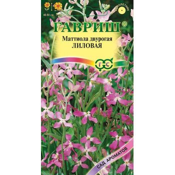 Маттиола двурогая Лиловая /0,5 г/ *Гавриш*