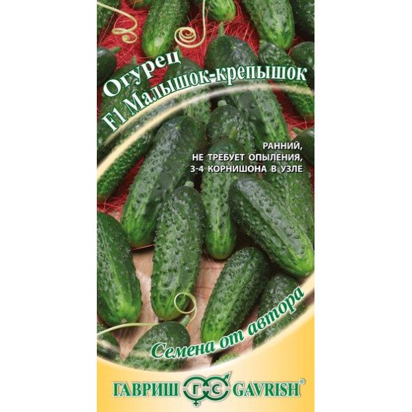 Насіння огірка Малишок-крепишок F1 /10 насінин/ *Гавриш*