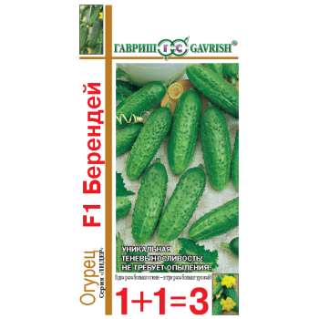 Огурец Берендей F1 /(серия 1+1) 20 семян/ *Гавриш*