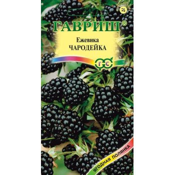 Ежевика Чародейка /10 семян/ *Гавриш*