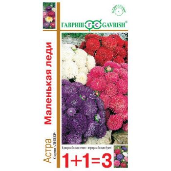 Астра Маленькая леди смесь /0,6 г/ *Гавриш*