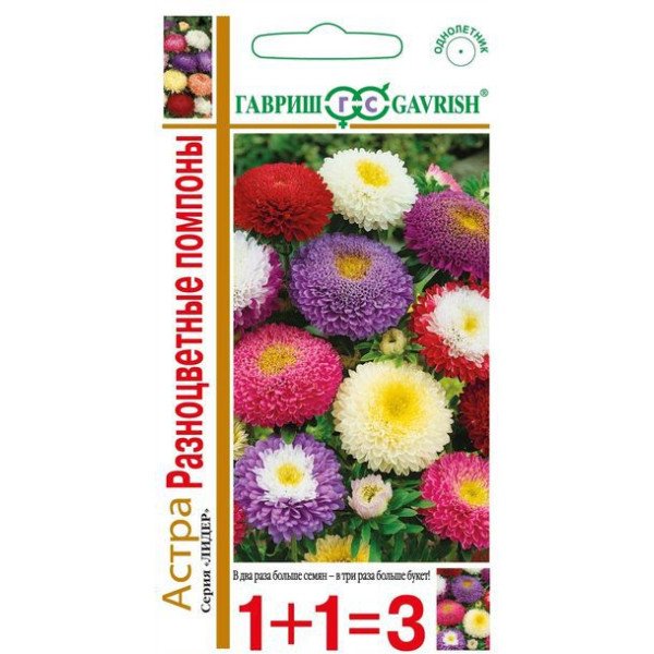 Насіння айстри Різнокольорові помпони суміш /0,6 г/ *Гавриш*