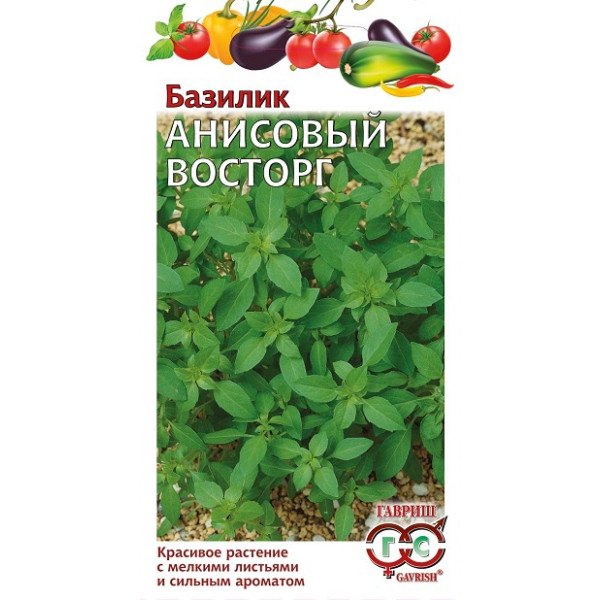 Семена базилика Анисовый восторг /0,1 г/ *Гавриш*
