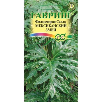 Филодендрон Селло Мексиканский змей /5 семян/ *Гавриш*