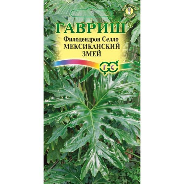 Семена филодендрона Селло Мексиканский змей /5 семян/ *Гавриш*