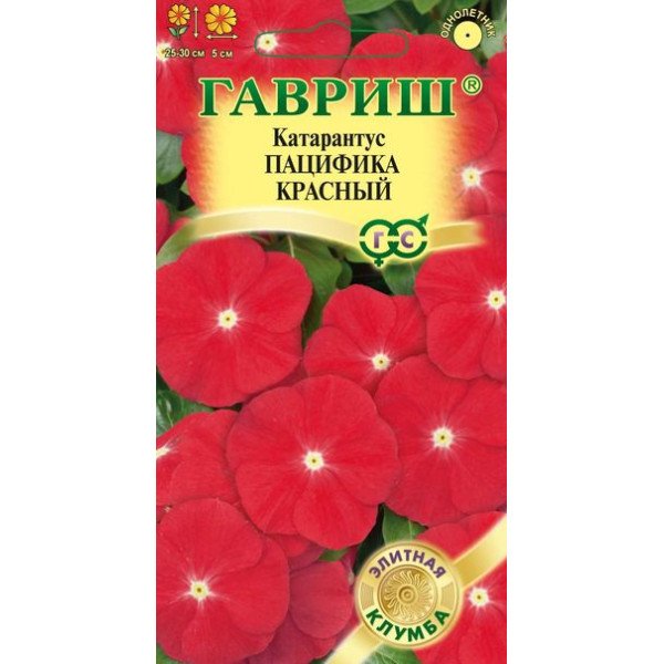 Катарантус Пацифика красный /7 семян/ *Гавриш*