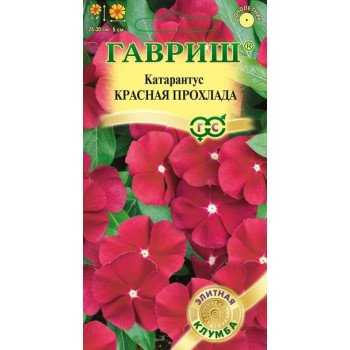 Катарантус Красная прохлада /7 семян/ *Гавриш*