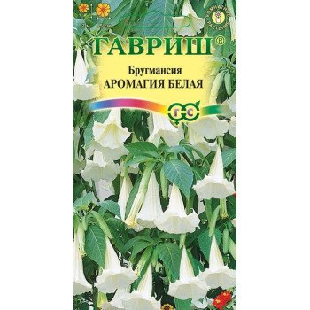 Бругмансія Аромагія біла /3 насінини/ *Гавриш*