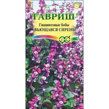 Гиацинтовые бобы Вьющаяся сирень /4 семечка/ *Гавриш*